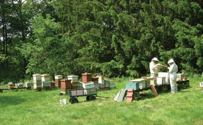 Meet The Beekeepers