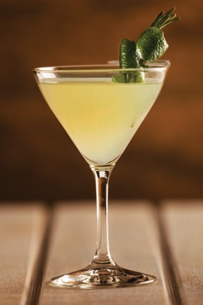 Ginger Lime Gimlet from Lidia's Italy in Pittsburgh