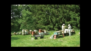 Meet The Beekeepers